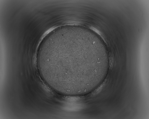 X0000086911074200705071259