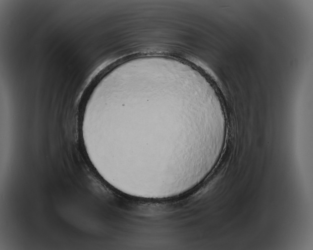 X0000086911075200705071259