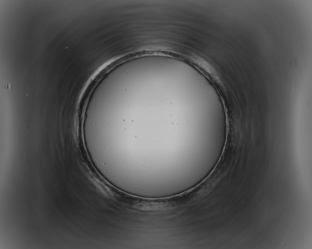 X0000086911076200705071259