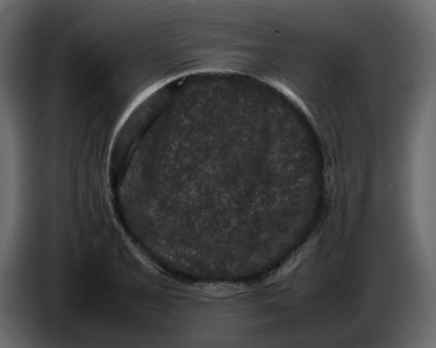 X0000086911077200705071259