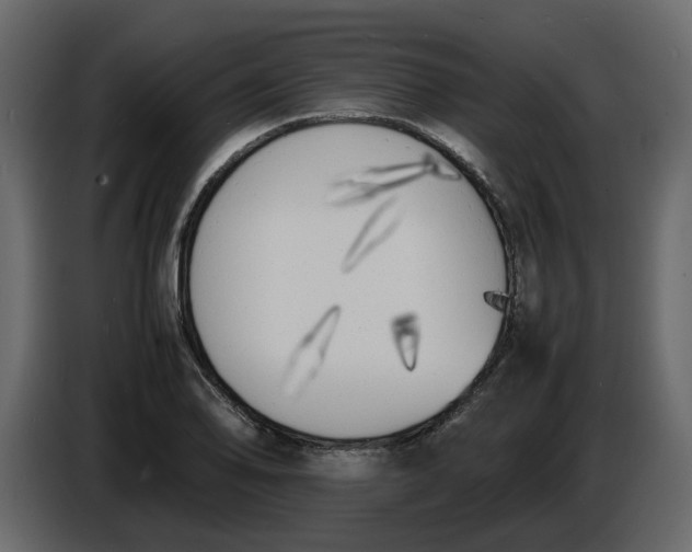 X0000086911078200705071259