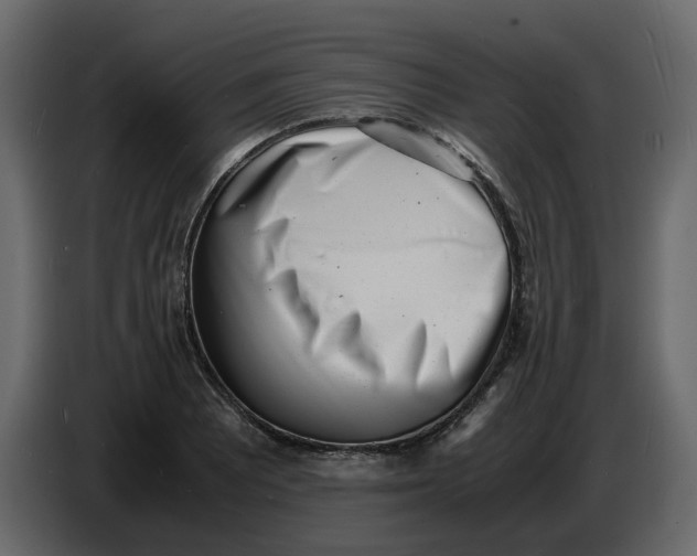 X0000086911081200705071259