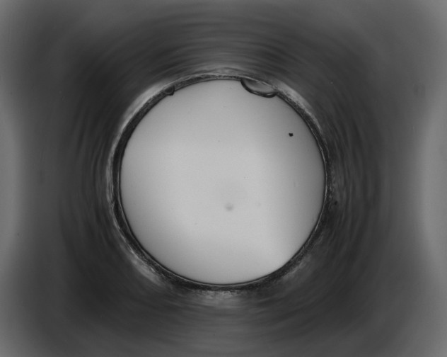 X0000086911082200705071259