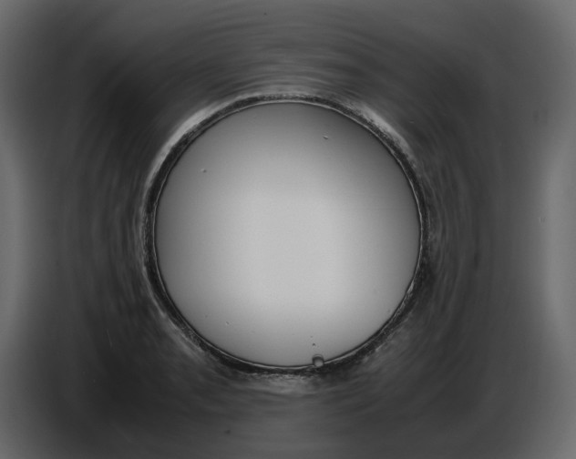 X0000086911085200705071259