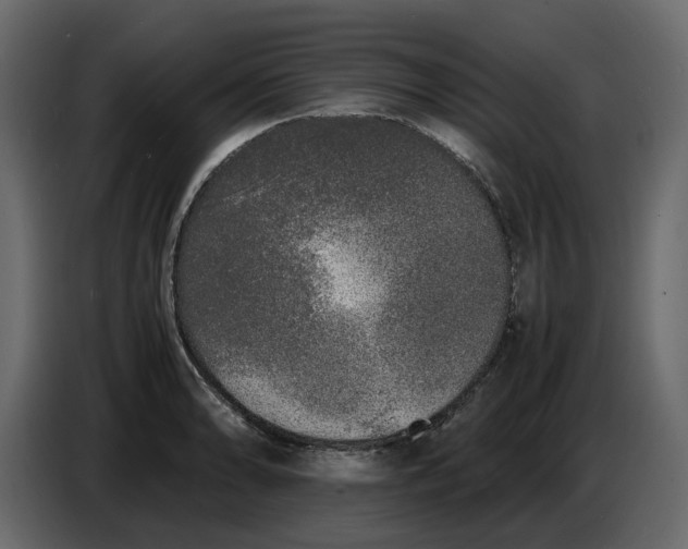 X0000086911086200705071259