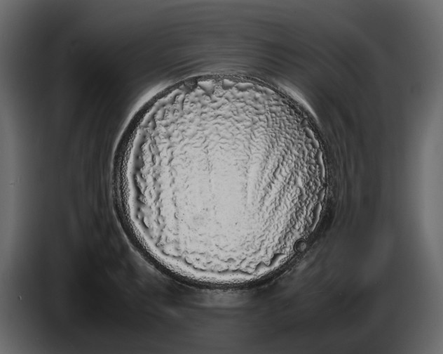 X0000086911087200705071259