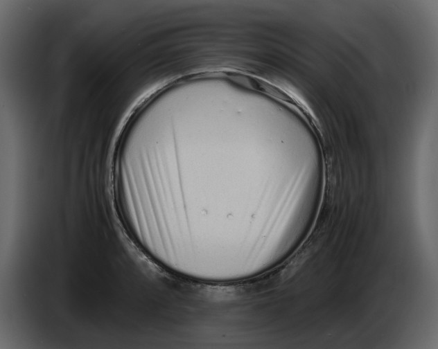 X0000086911088200705071259