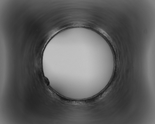 X0000086911089200705071259