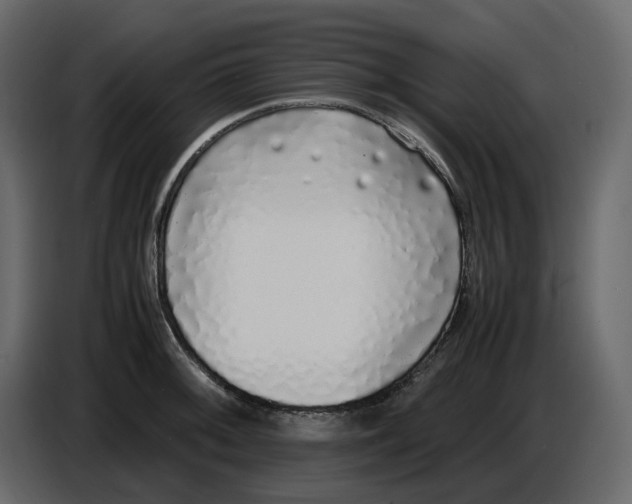 X0000086911092200705071259