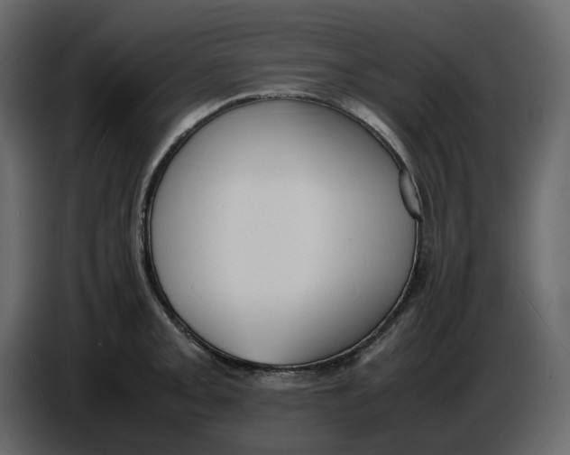 X0000086911093200705071259