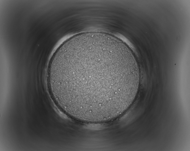 X0000086911094200705071259