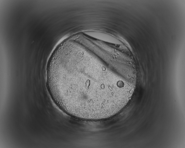 X0000086911095200705071259