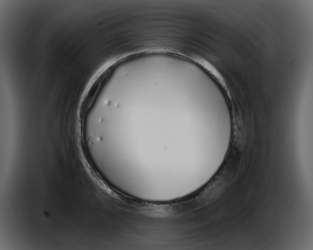 X0000086911096200705071259