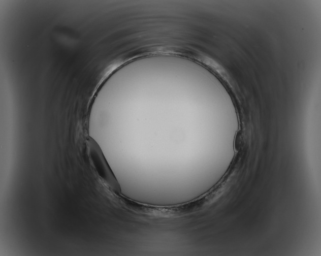 X0000086911097200705071259