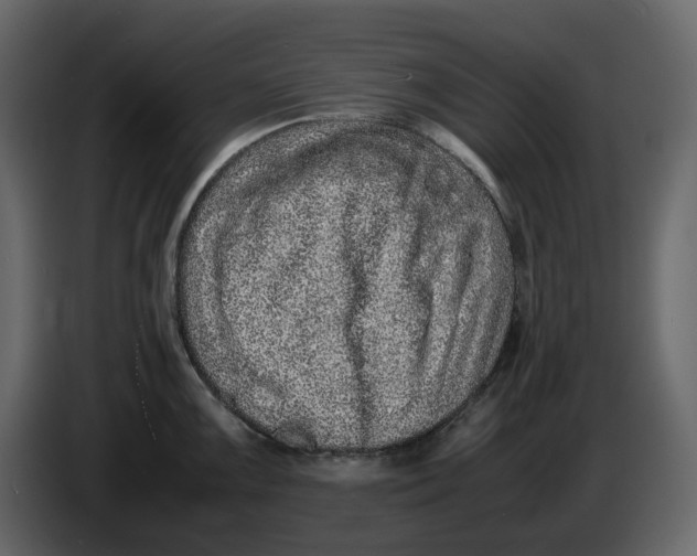 X0000086911099200705071258