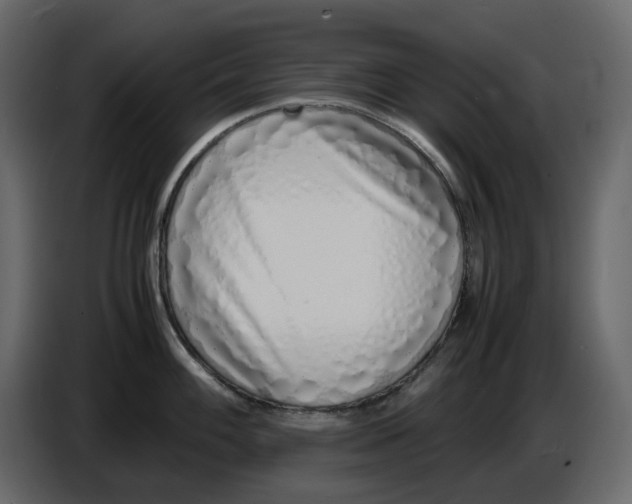 X0000086911100200705071258