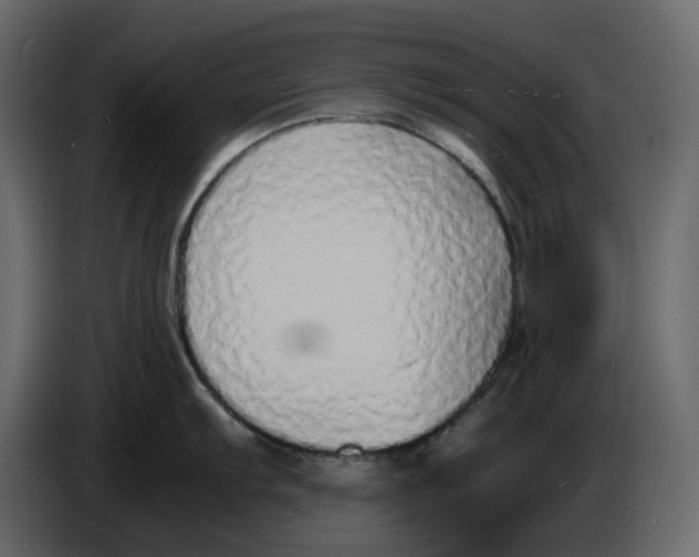 X0000086911103200705071258