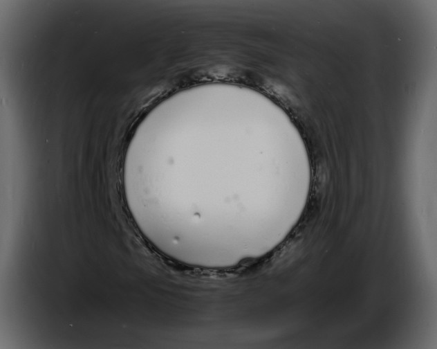 X0000086911105200705071258