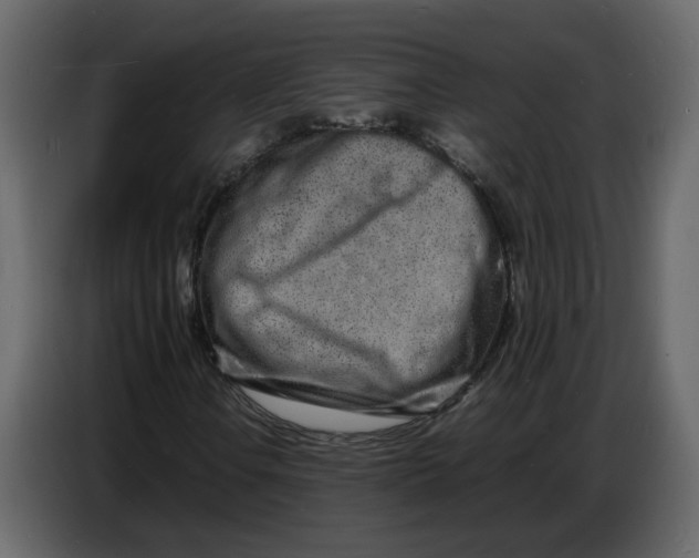 X0000086911106200705071258