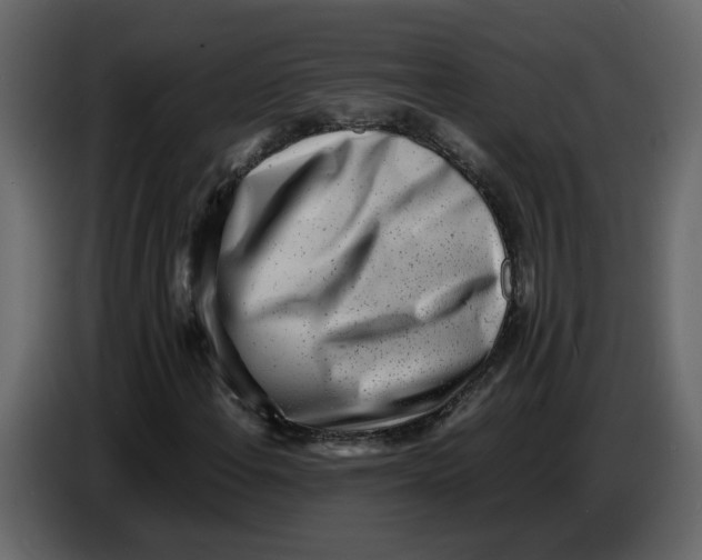 X0000086911108200705071258