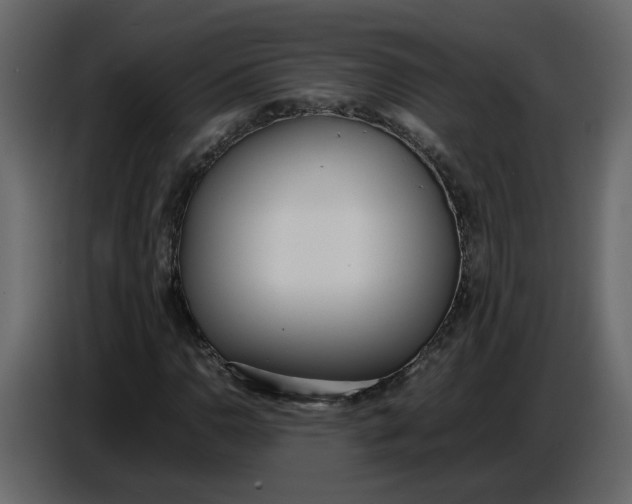 X0000086911110200705071258