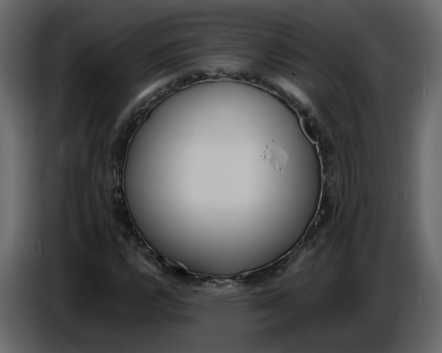 X0000086911112200705071258