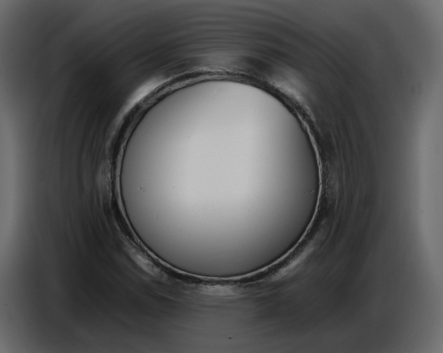 X0000086911114200705071258