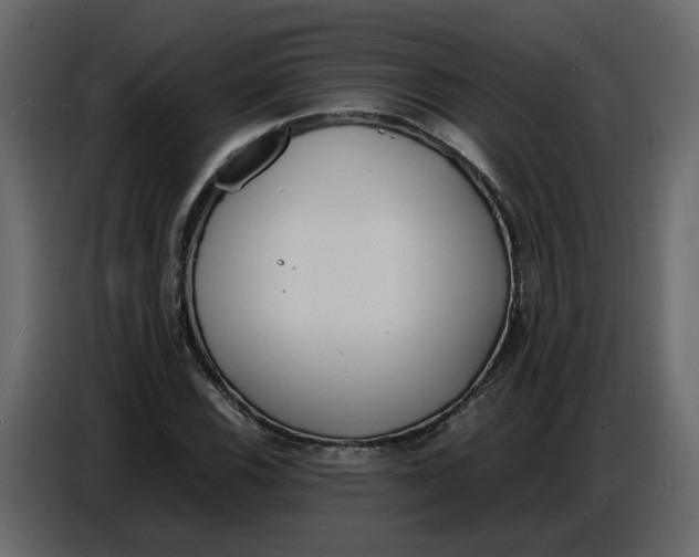 X0000086911116200705071258