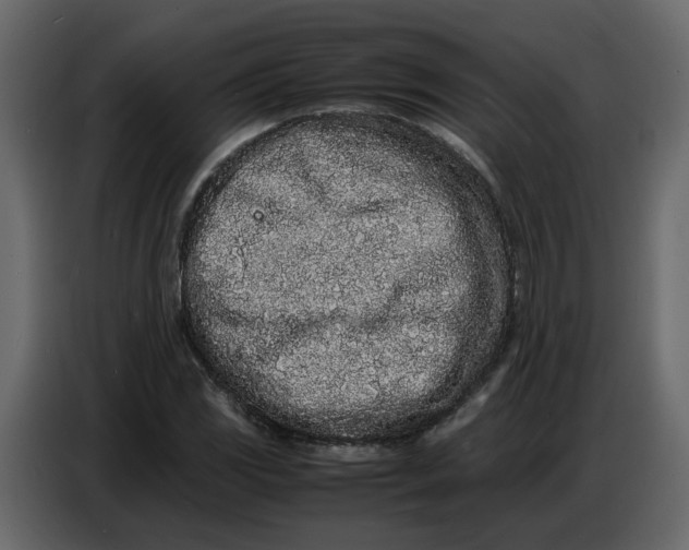 X0000086911117200705071258