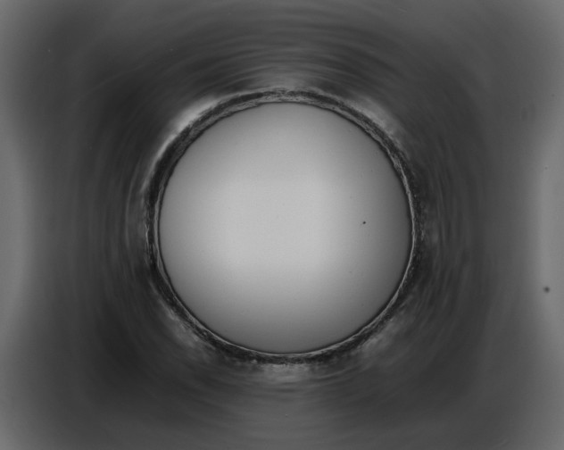 X0000086911118200705071258