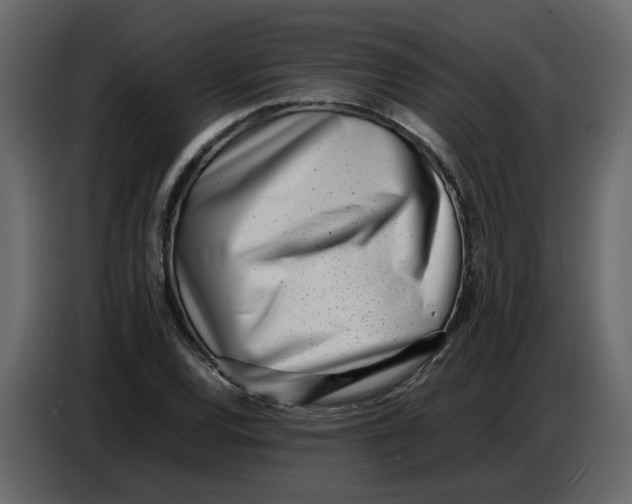 X0000086911120200705071258