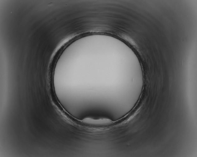 X0000086911122200705071258