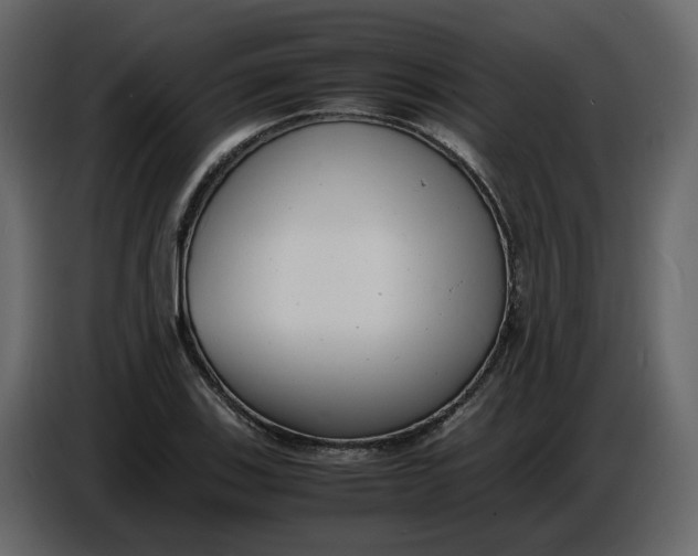 X0000086911123200705071258