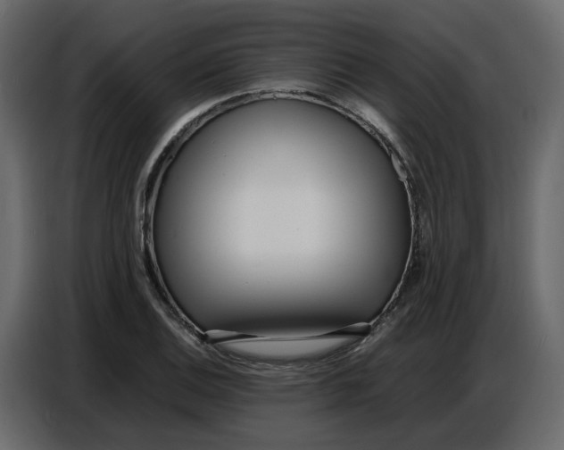 X0000086911124200705071258