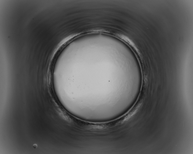 X0000086911125200705071258