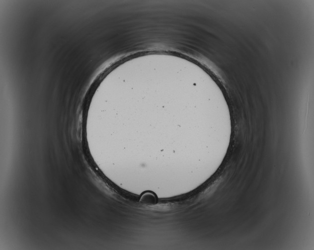 X0000086911126200705071258