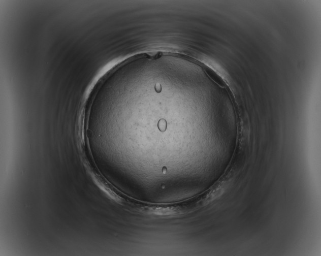 X0000086911128200705071258