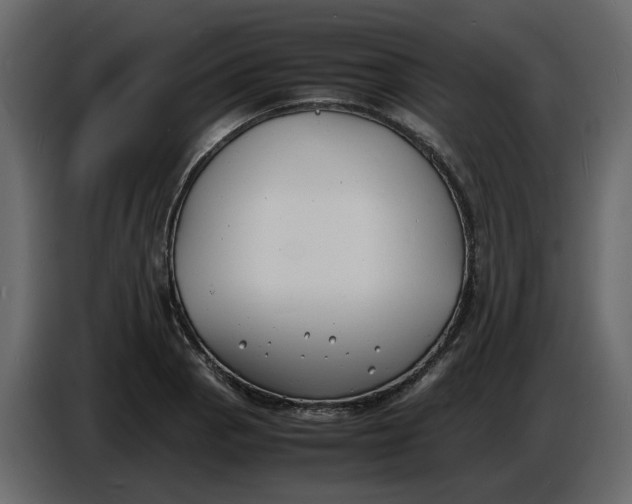 X0000086911129200705071258