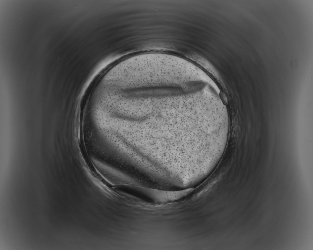 X0000086911132200705071258