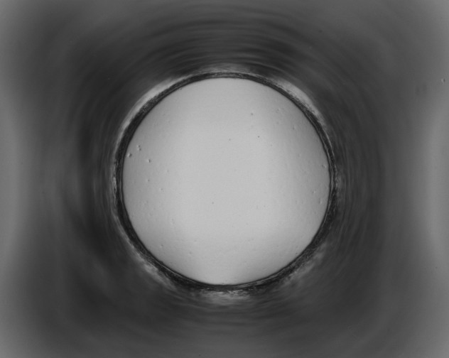 X0000086911133200705071258