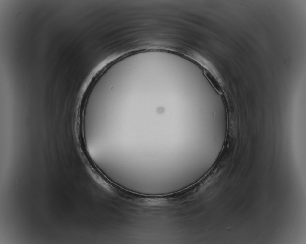 X0000086911136200705071258