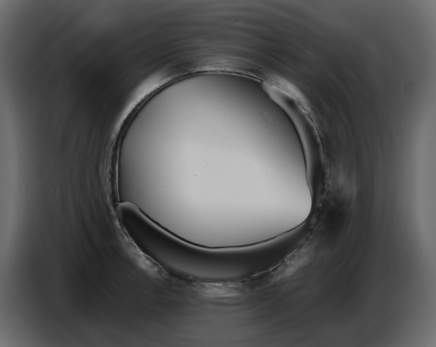 X0000086911138200705071258