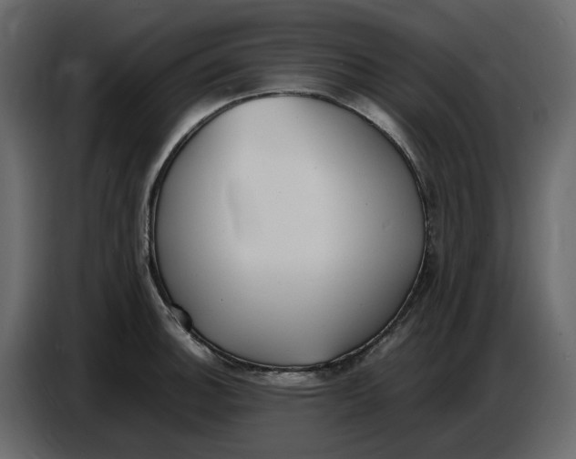 X0000086911140200705071258