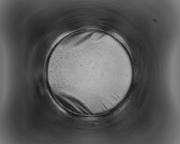 X0000086911141200705071258