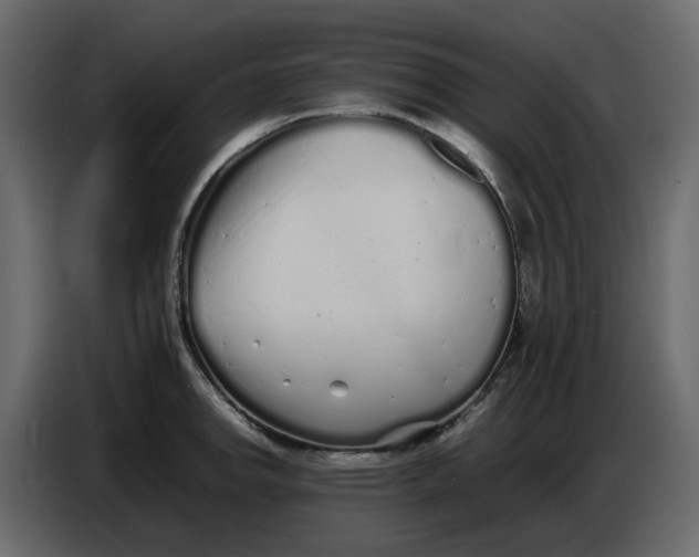 X0000086911142200705071258