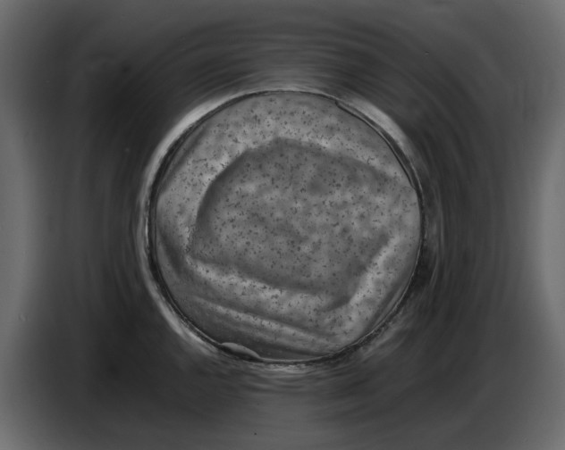 X0000086911144200705071258