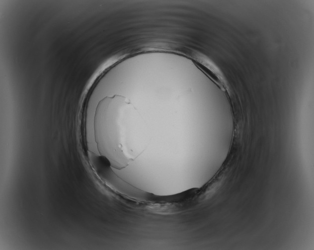 X0000086911146200705071258