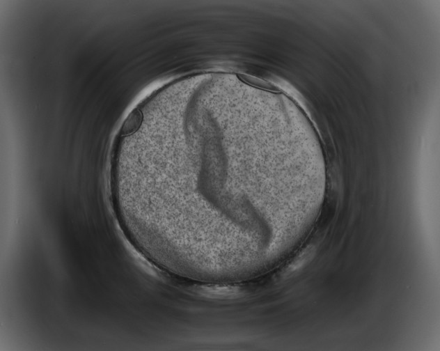 X0000086911147200705071258