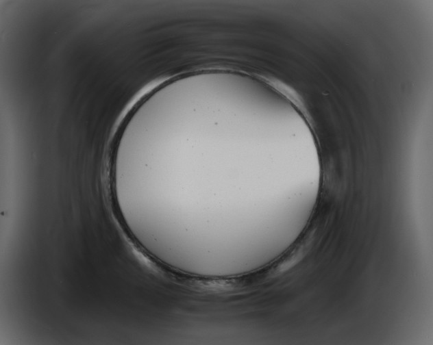 X0000086911149200705071258