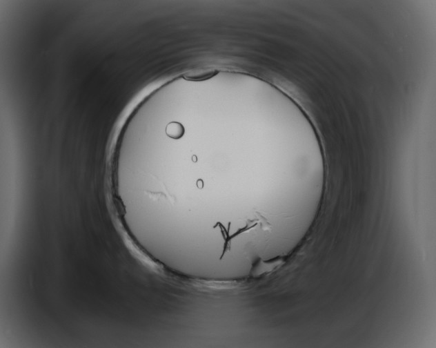 X0000086911152200705071258